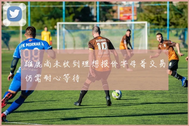 雄鹿尚未收到理想报价字母哥交易仍需耐心等待